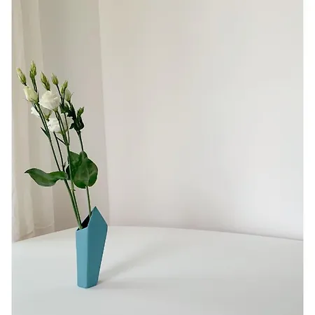 Maison De Cote - Felice Νίκαια